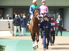 20180217 東京4R 4歳上障害未勝利 トーセンカナロア 11
