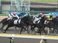 20160130 東京3R 3歳未勝利 カズノメガミ 15