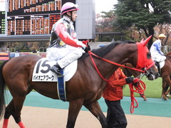 20161119 東京1R 2歳未勝利 パイオニアワーク 14