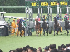 20180930 中山2R 2歳未勝利 クラサーヴィツァ 22