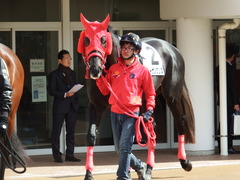 20180324 中山1R 3歳未勝利 ノーザンクリス 05