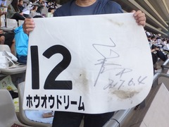 20170604 東京4R 3歳未勝利 ホウオウドリーム 39