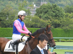 20170923 阪神2R 2歳未勝利 メイショウカラタチ 10