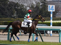 20150328 中山4R 3歳未勝利 ラッシュアタック 12