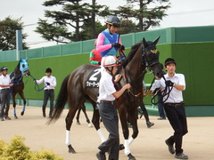 20180916 中山10R 初風特別(1000) ウォーターラボ 13