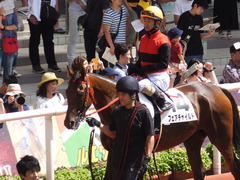 20170910 阪神3R 3歳未勝利 フェアチャイルド 23
