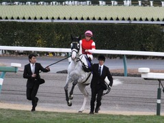 20151227 中山10R 有馬記念(G1) ゴールドシップ 14