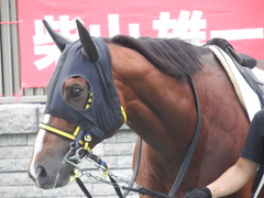 20181020 東京12R (1000) ノーモアゲーム 12