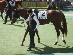 20181006 東京1R 2歳未勝利 サノノドン 11