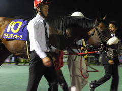 20140730 大井11R 重賞 グランディオーソ 04