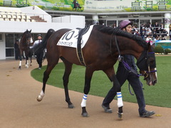20180407 中山6R 3歳未勝利 エイカイオリンピア 02