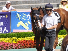 20150530 東京10R 薫風S ランドマーキュリー 03