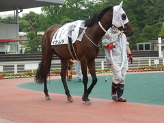 20180523 大井3R 3歳(195万下) イナムラ 04