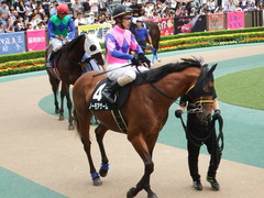 20180506 東京12R 立川特別(1000) ノーモアゲーム 14