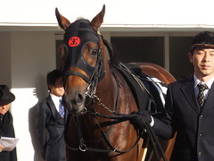 20161224 中山10R クリスマスカップ(1000) オウケンブラック 09