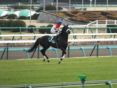20150307 中山11R オーシャンS(G3) ショウナンアチーヴ 08