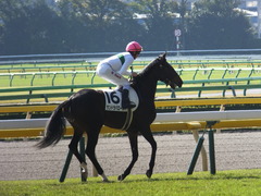 20131116 東京 サンドラバローズ14