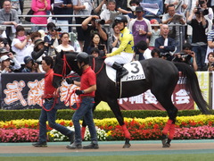 20170611 東京5R 2歳メイクデビュー 14
