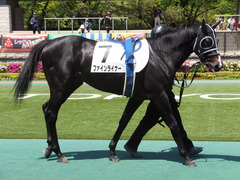 20150426 東京6R 3歳500万下 ファインライナー 02