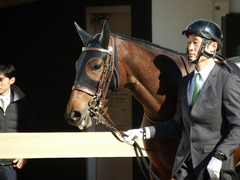 20171203 中山4R 2歳未勝利 ルフィーナ 07