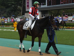 20141012 東京4R ウインメアリー 06