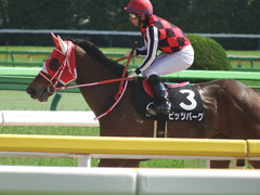 20190428 東京9R 陣馬特別(1000) ピッツバーグ 20