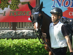 20190511 東京10R 緑風S (1600) ヴァントシルム 06