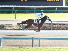 20151226 中山2R 2歳未勝利 カズノメガミ 11
