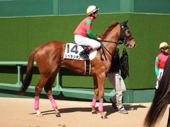 20180317 中山6R 3歳未勝利 リベラシオン 12
