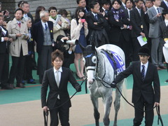 20131124 JC(G1)ゴールドシップ03