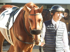 20181228 中山2R 2歳牝馬未勝利 パーフェクトワン 09