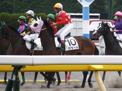 20170611 東京6R 2歳牝馬メイクデビュー サラート 21