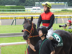 20150627 東京8R 東京JS(JG3) メジロサンノウ 12
