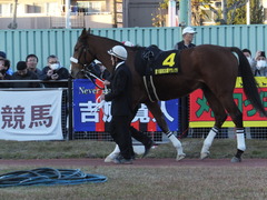 20161215 名古屋11R 名古屋GP(Jpn2) ユーロビート 07