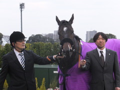 20160111 中山12R 4歳上500万下 マイネルサージュ 19