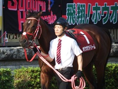 20180527 東京12R 目黒記念(G2) ホウオウドリーム 14