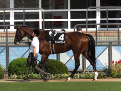 20150919 中山10R 松戸特別 ヴィルトグラーフ 03