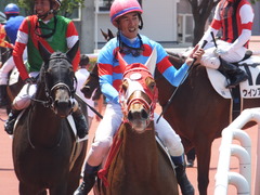 20160618 阪神8R 3歳上牝馬500万下 レーヌドブリエ 27