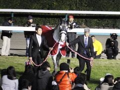 20151227 ゴールドシップ 引退式 10