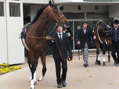 20150125 中山10R 若潮賞 モーリス 07