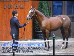 シャレード2014