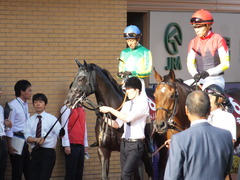 20140928 新潟11R オールカマー サトノノブレス 13