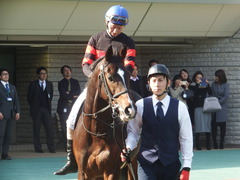20190216 東京9R フリージア賞 3歳500万下 ホウオウサーベル 11