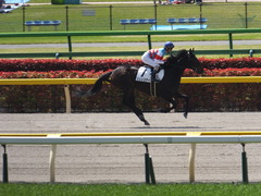 20150426 東京1R 3歳未勝利 ジュンコアー 11