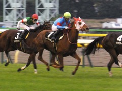 20171118 東京10R ユートピアS(牝1600) レーヌドブリエ 16