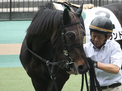 20160423 東京4R 3歳未勝利 ラルゴランド 08