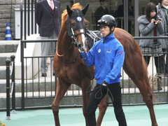 20161127 東京7R ベゴニア賞 クライムメジャー 02
