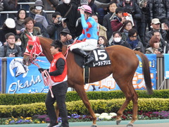20170211 東京9R テレビ山梨杯(牝1000) レーヌドブリエ 19