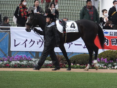20151213 中山12R 3歳上500万下 マイネルサージュ 08