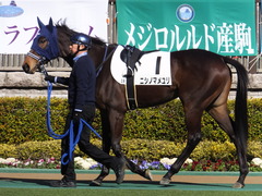 20160207 東京3R 3歳メイクデビュー ニシノマメユリ 04